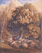 Samuel Palmer Pastoral with a Horse Chestnut Tree china oil painting reproduction